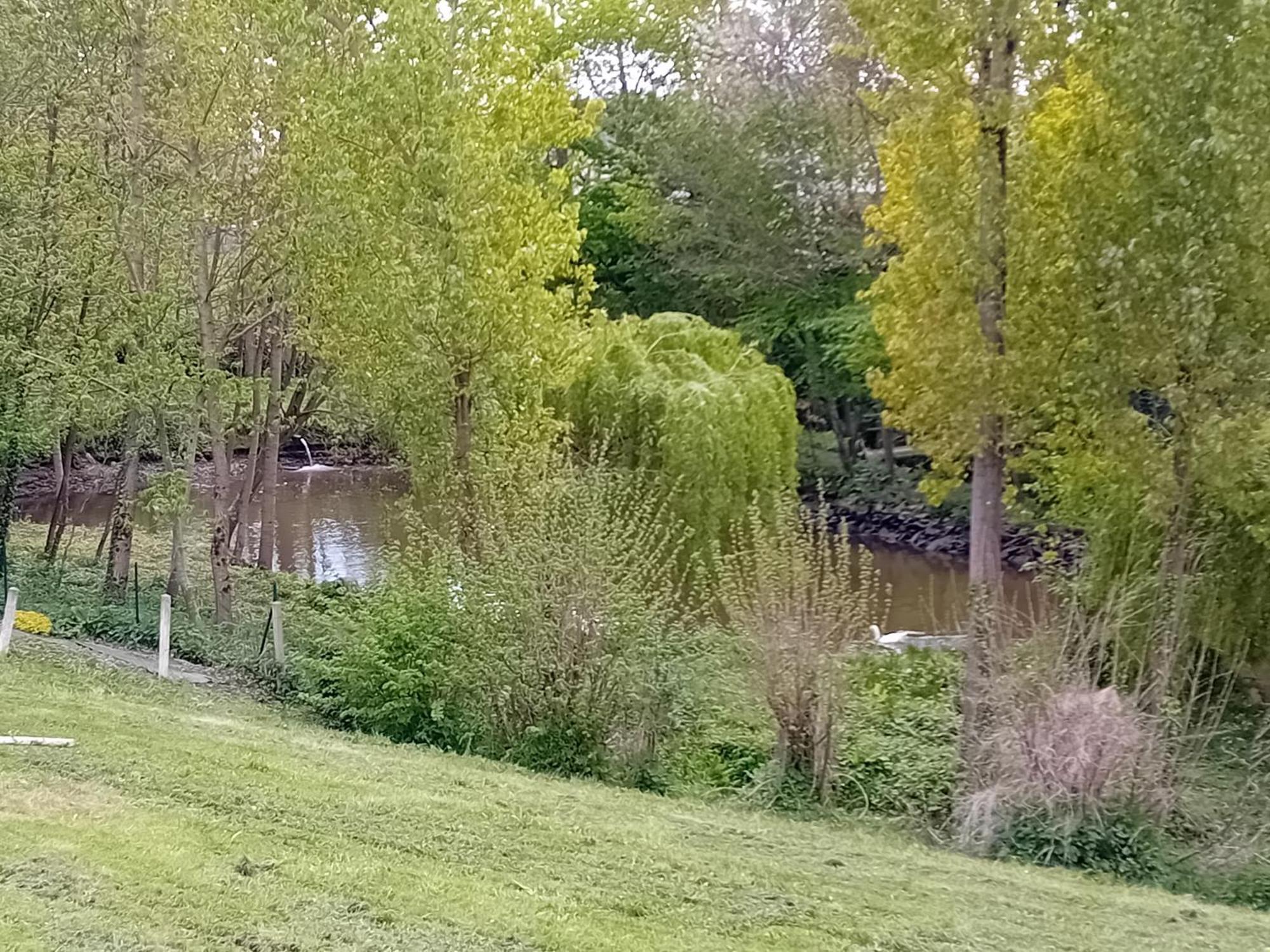 Maison Au Coeur De La Nature Cerisy-la-Foret Esterno foto